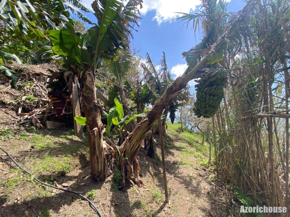 Terreno para Venda em Povoação Foto 15