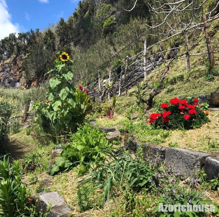 Terreno para Venda em Povoação Foto 21