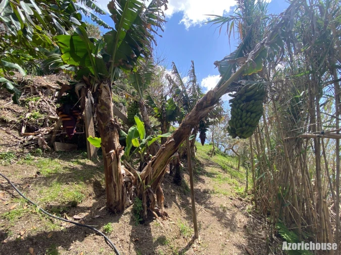 Terreno para Venda em Povoação Foto 15