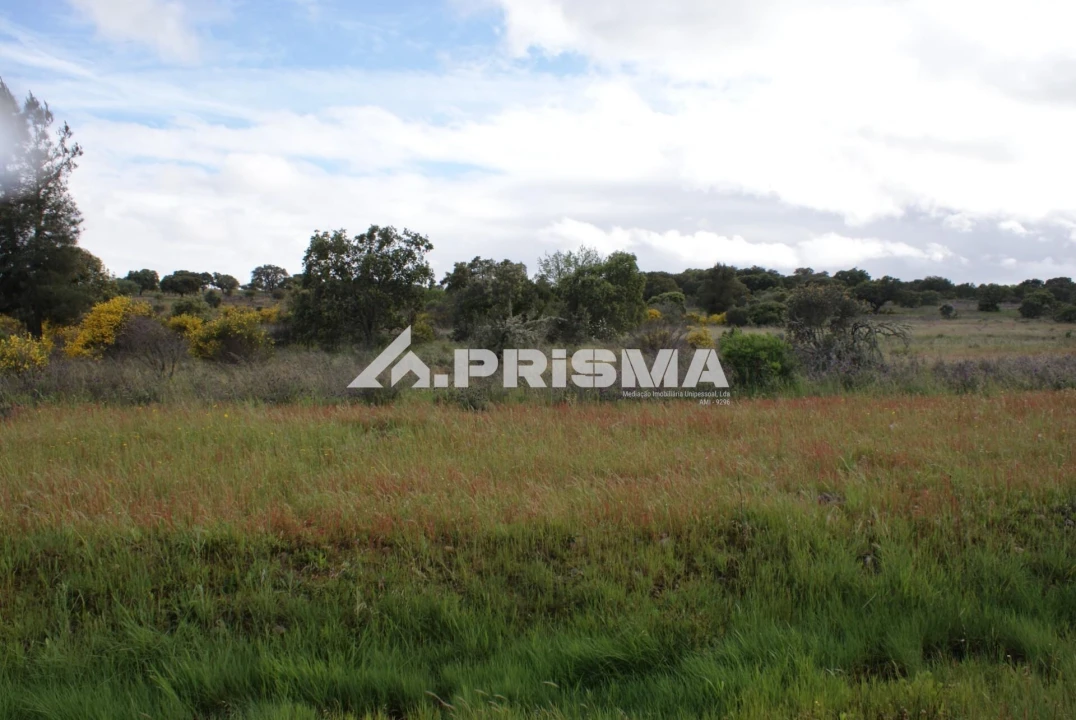 Terreno para Venda em Monfortinho e Salvaterra do Extremo Foto 18