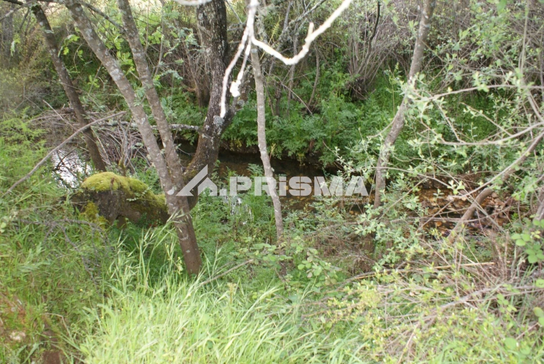 Terreno para Venda em Monfortinho e Salvaterra do Extremo Foto 21