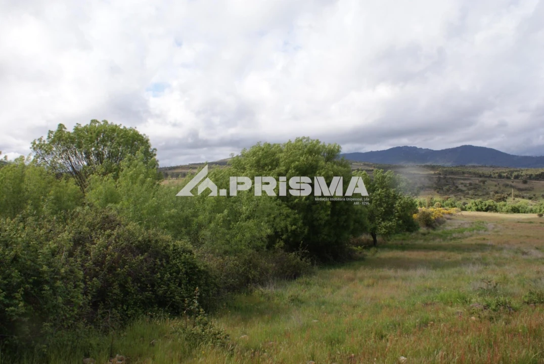 Terreno para Venda em Monfortinho e Salvaterra do Extremo Foto 13