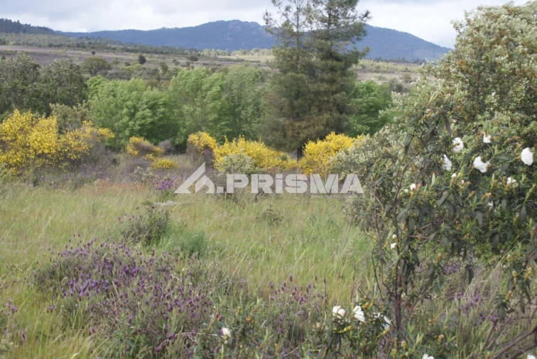 Terreno para Venda em Monfortinho e Salvaterra do Extremo Foto 16
