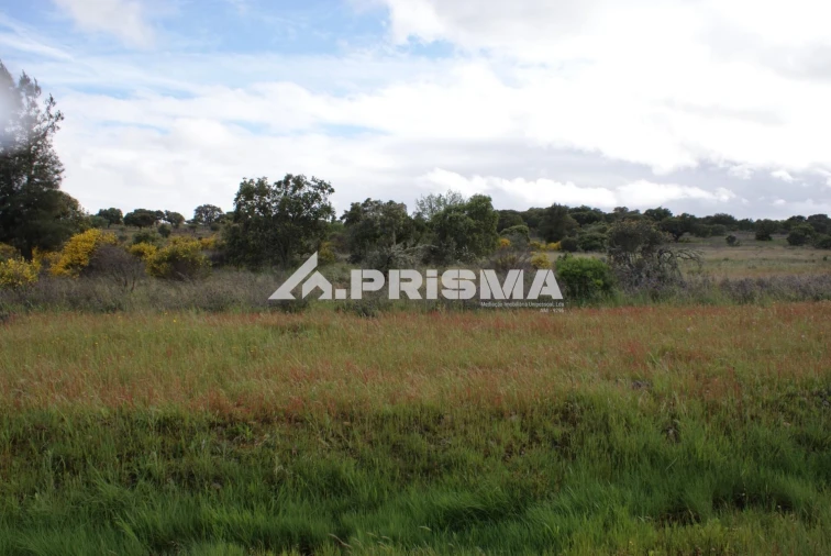 Terreno para Venda em Monfortinho e Salvaterra do Extremo Foto 18
