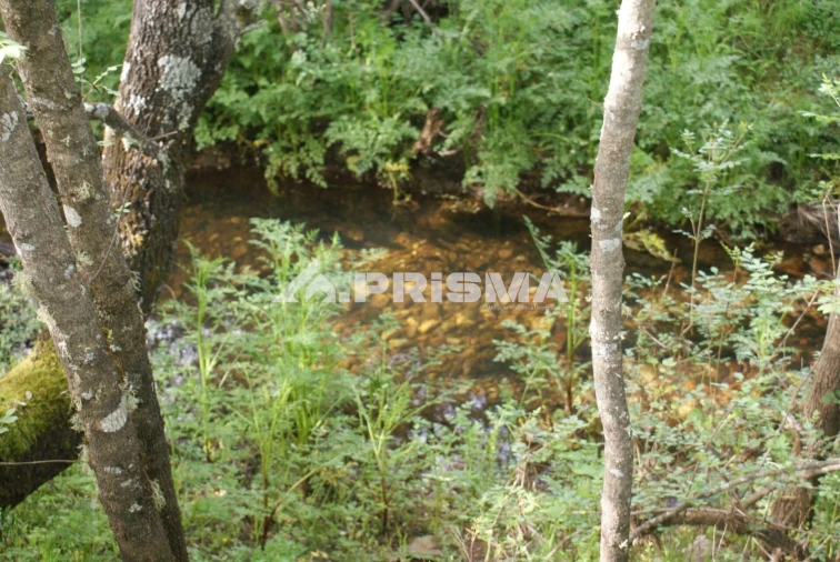 Terreno para Venda em Monfortinho e Salvaterra do Extremo Foto 23