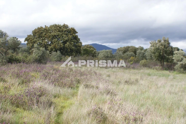 Terreno para Venda em Monfortinho e Salvaterra do Extremo Foto 2