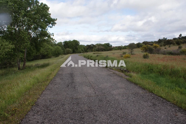Terreno para Venda em Monfortinho e Salvaterra do Extremo Foto 19