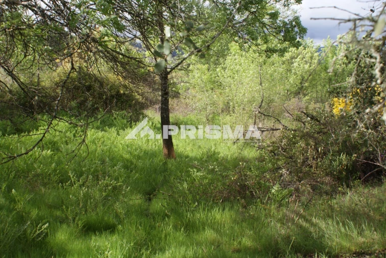 Terreno para Venda em Monfortinho e Salvaterra do Extremo Foto 11