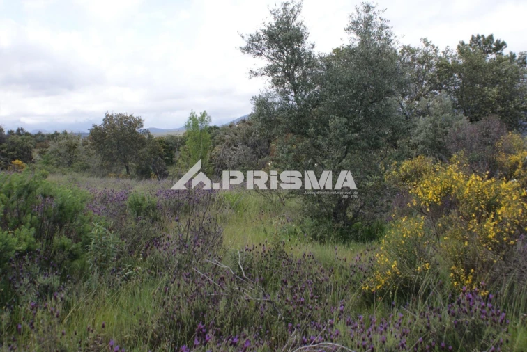 Terreno para Venda em Monfortinho e Salvaterra do Extremo Foto 6