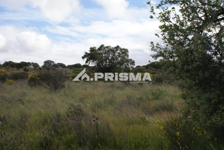 Terreno para Venda em Monfortinho e Salvaterra do Extremo Foto 17