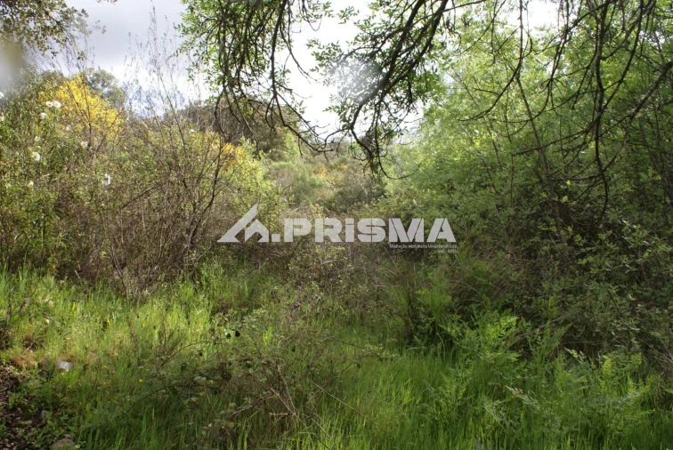 Terreno para Venda em Monfortinho e Salvaterra do Extremo Foto 12