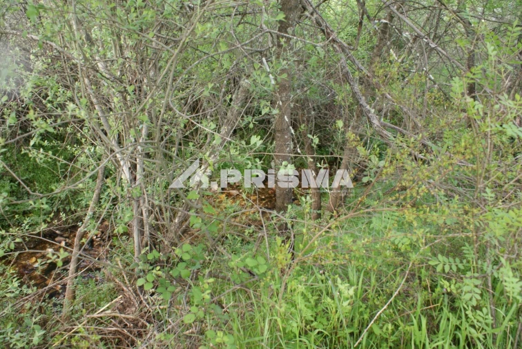 Terreno para Venda em Monfortinho e Salvaterra do Extremo Foto 22