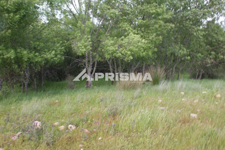 Terreno para Venda em Monfortinho e Salvaterra do Extremo Foto 20