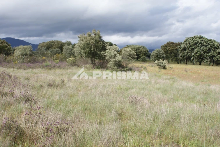 Terreno para Venda em Monfortinho e Salvaterra do Extremo Foto 3