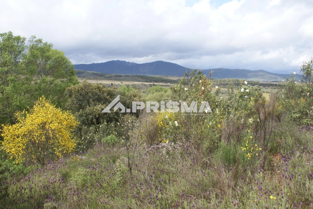 Terreno para Venda em Monfortinho e Salvaterra do Extremo Foto 10