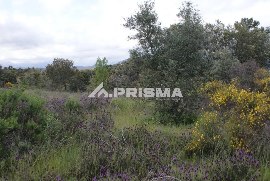 Terreno para Venda em Monfortinho e Salvaterra do Extremo Foto 6