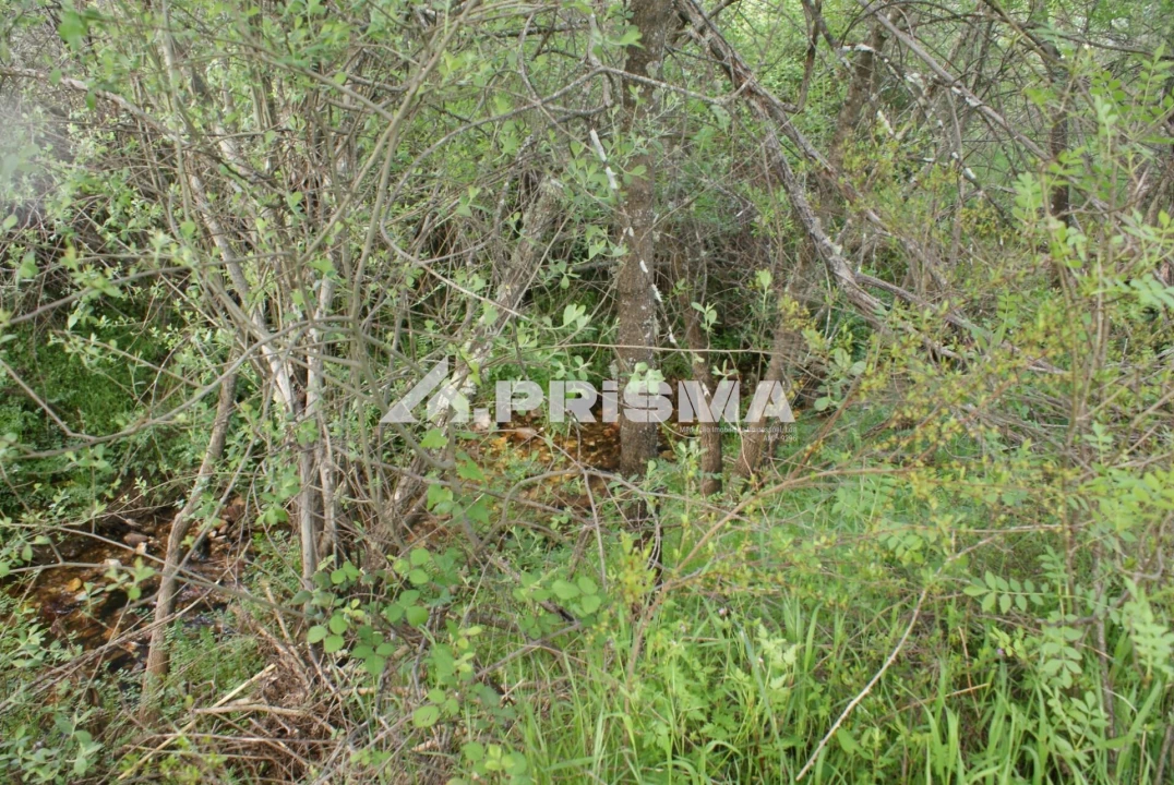 Terreno para Venda em Monfortinho e Salvaterra do Extremo Foto 22