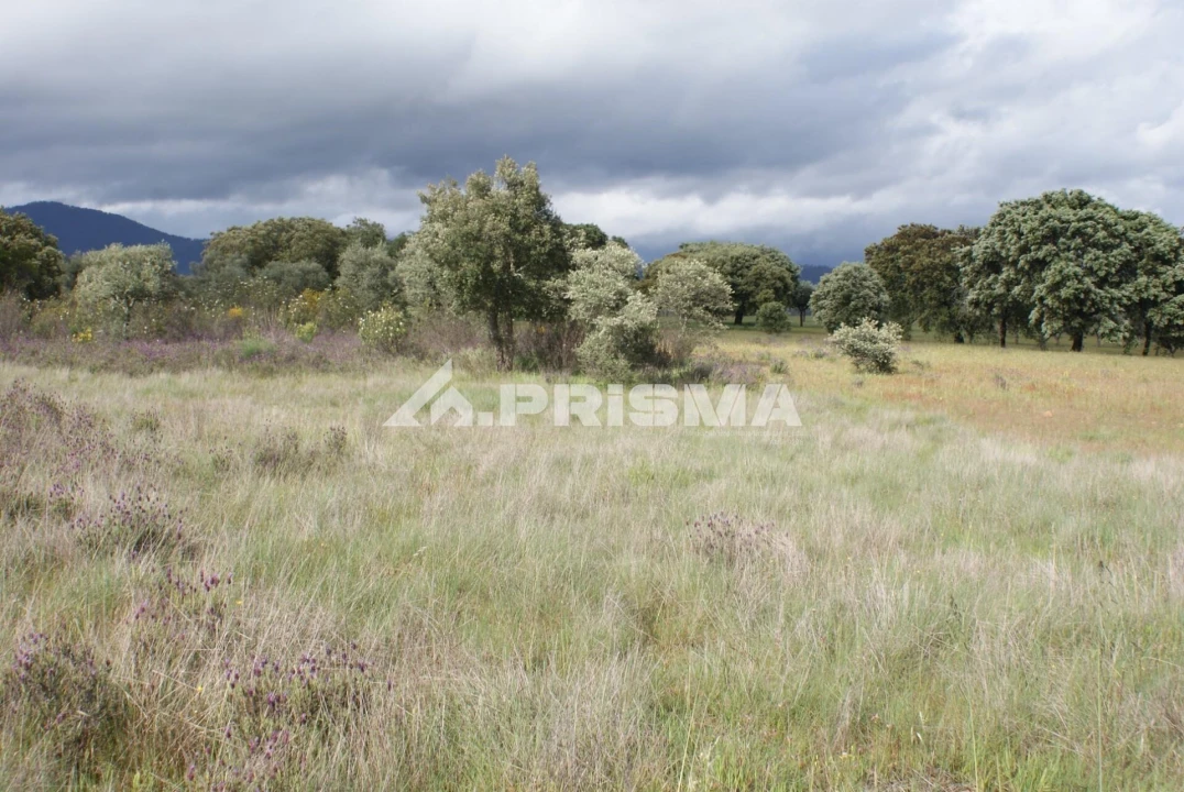 Terreno para Venda em Monfortinho e Salvaterra do Extremo Foto 3