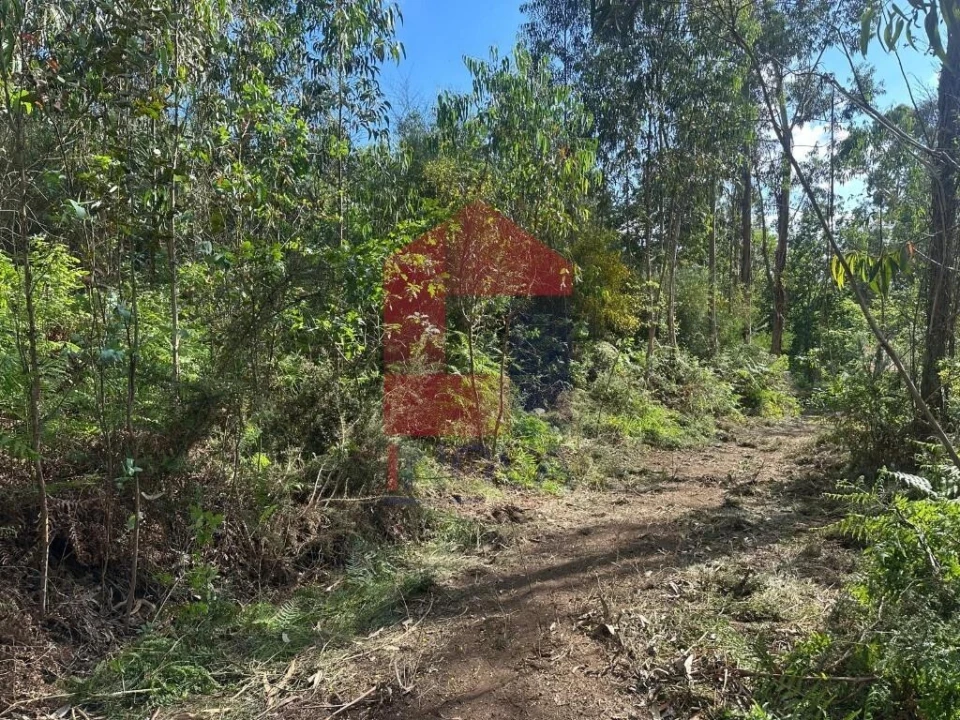Terreno para Venda em Ribeira do Neiva Foto 2