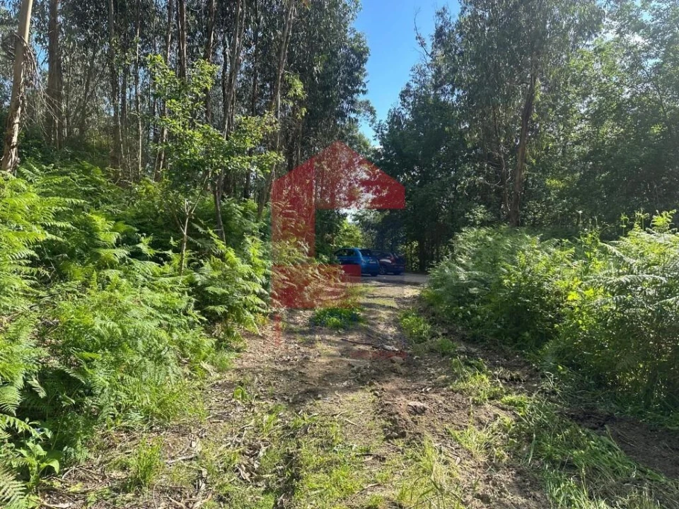 Terreno para Venda em Ribeira do Neiva Foto 17