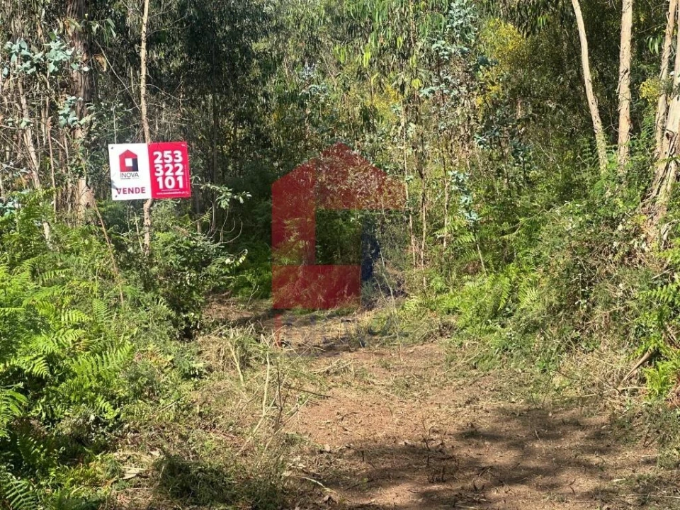 Terreno para Venda em Ribeira do Neiva Foto 1