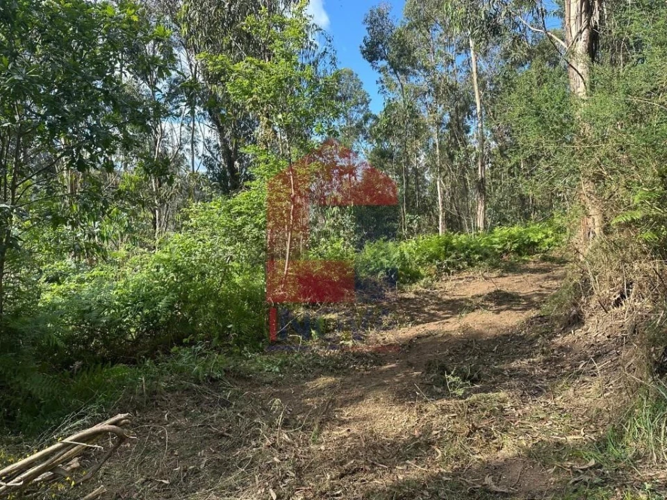 Terreno para Venda em Ribeira do Neiva Foto 16