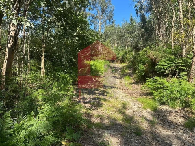 Terreno para Venda em Ribeira do Neiva Foto 14