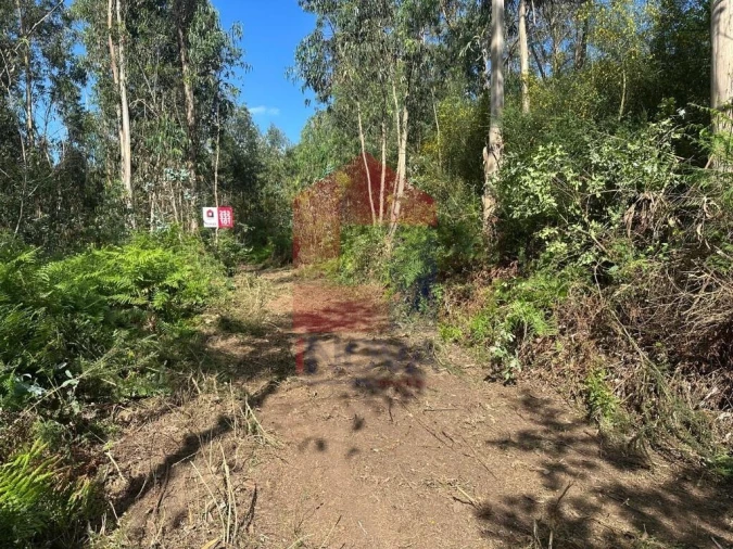 Terreno para Venda em Ribeira do Neiva Foto 19