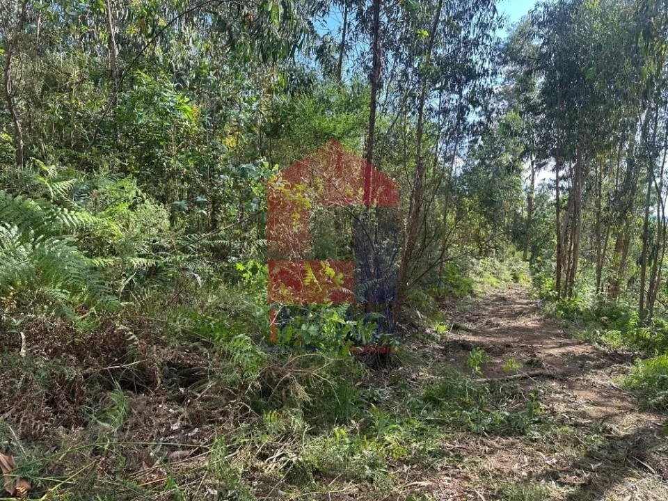 Terreno para Venda em Ribeira do Neiva Foto 9