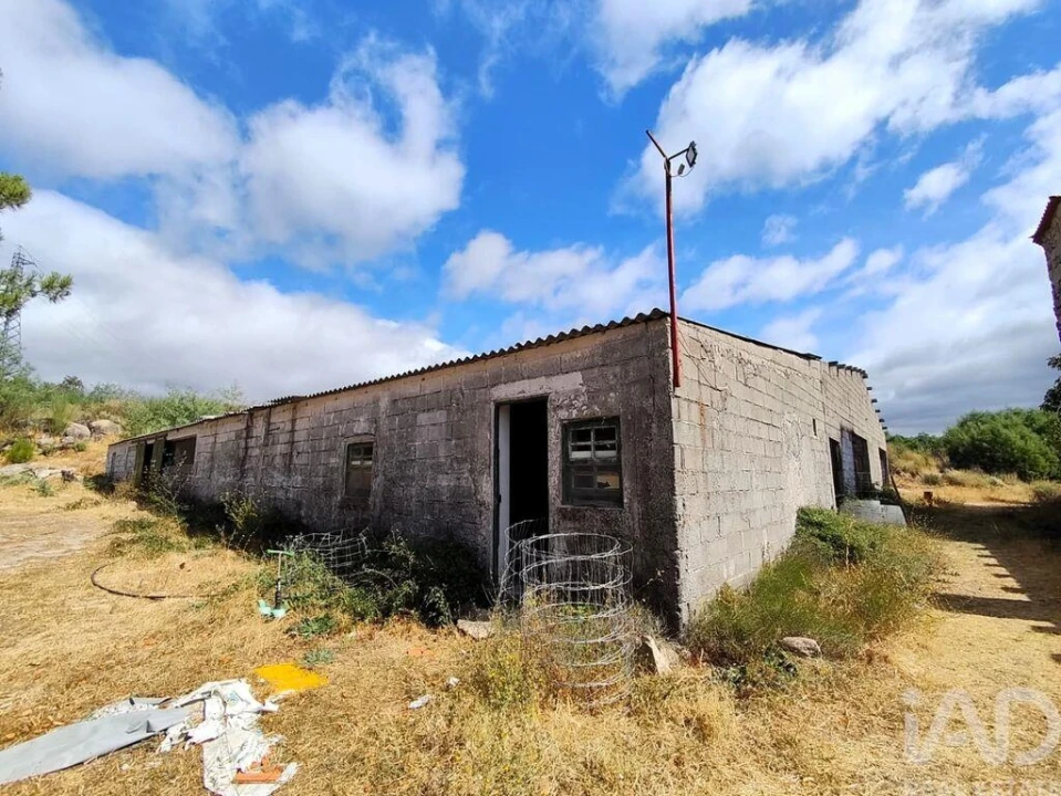 Terreno para Venda em Sortelha Foto 20