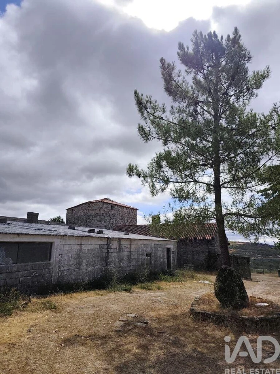Terreno para Venda em Sortelha Foto 24