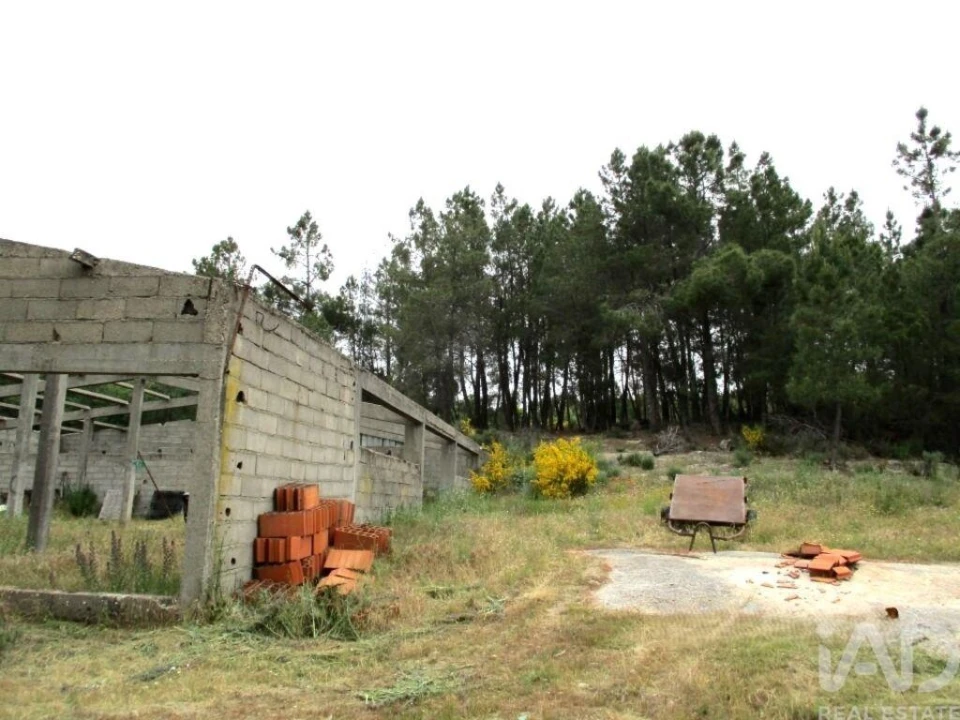 Terreno para Venda em Sortelha Foto 23