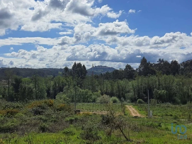 Terreno para Venda em Nossa Senhora da Piedade Foto 1
