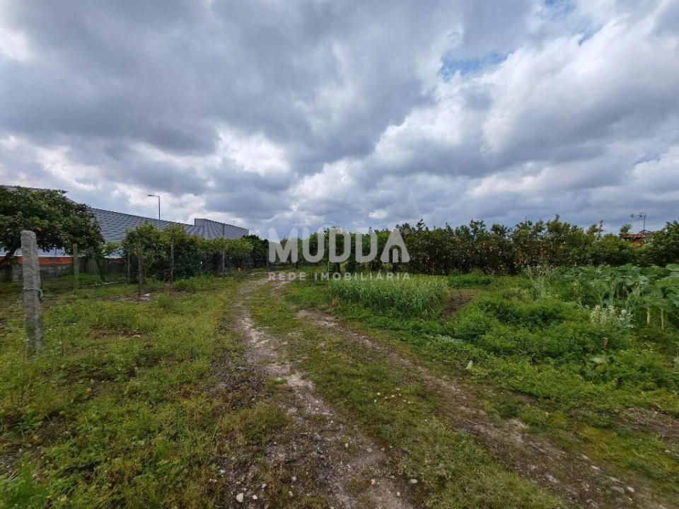 Terreno para Venda em Glória e Vera Cruz Foto 7