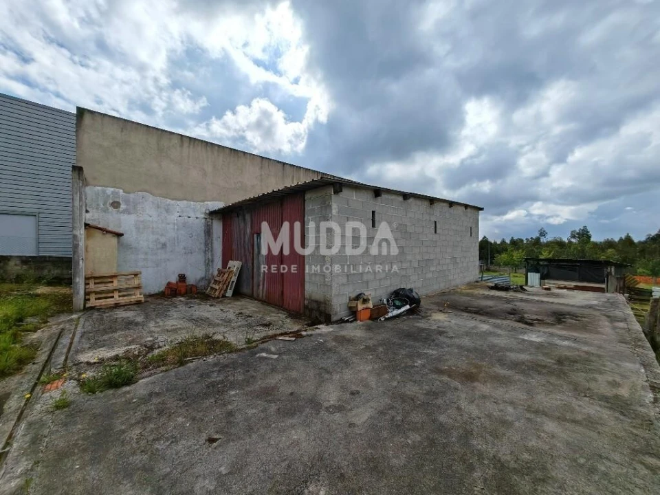 Terreno para Venda em Glória e Vera Cruz Foto 11