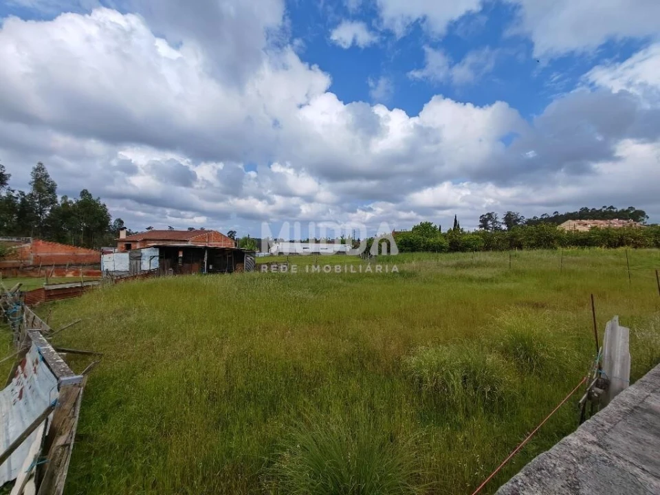 Terreno para Venda em Glória e Vera Cruz Foto 8