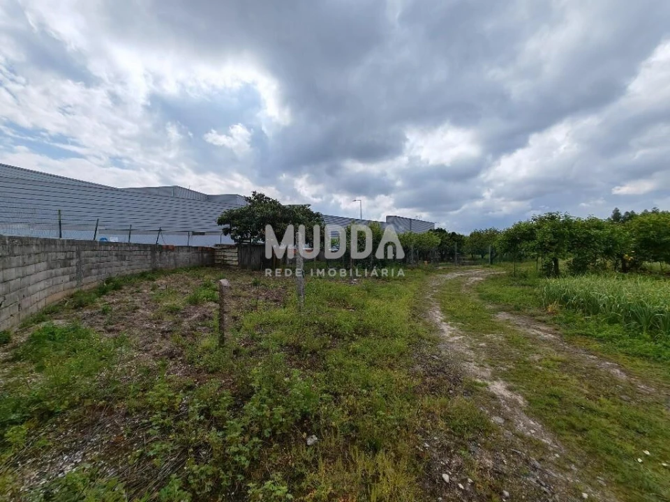 Terreno para Venda em Glória e Vera Cruz Foto 6