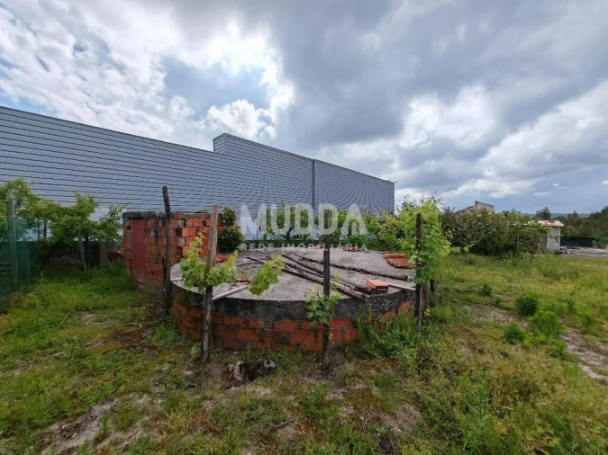 Terreno para Venda em Glória e Vera Cruz Foto 13