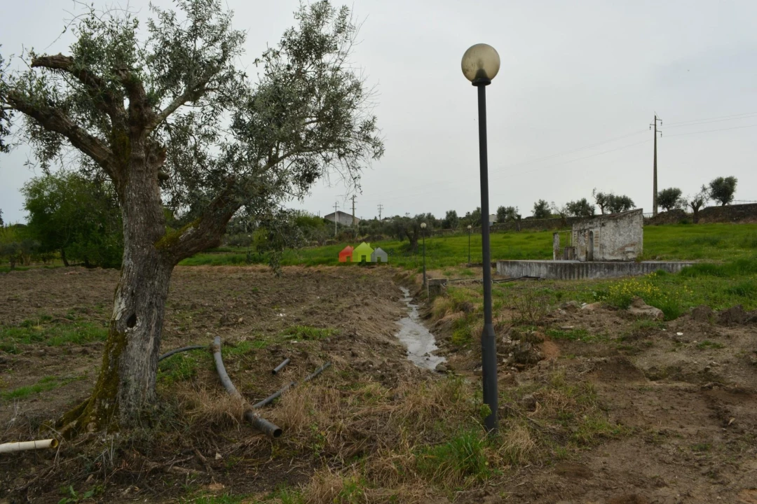 Quinta T12 para Venda em Beja (Santiago Maior e São João Baptista) Foto 18