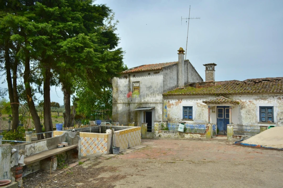 Quinta T12 para Venda em Beja (Santiago Maior e São João Baptista) Foto 40