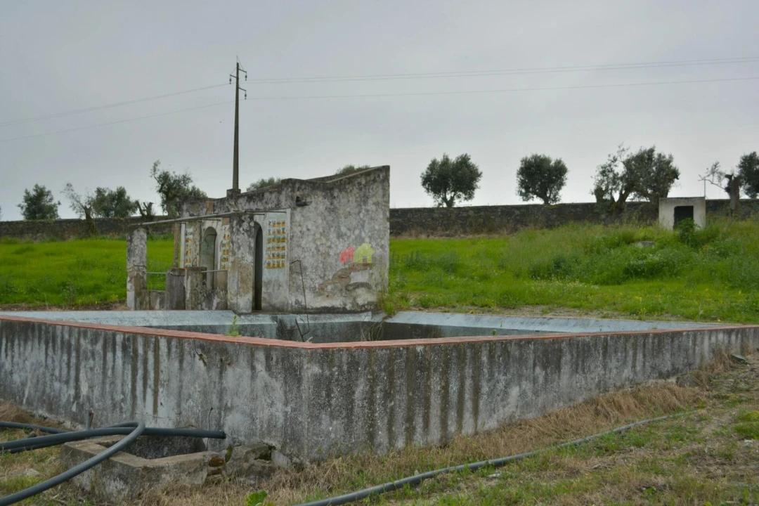 Quinta T12 para Venda em Beja (Santiago Maior e São João Baptista) Foto 16