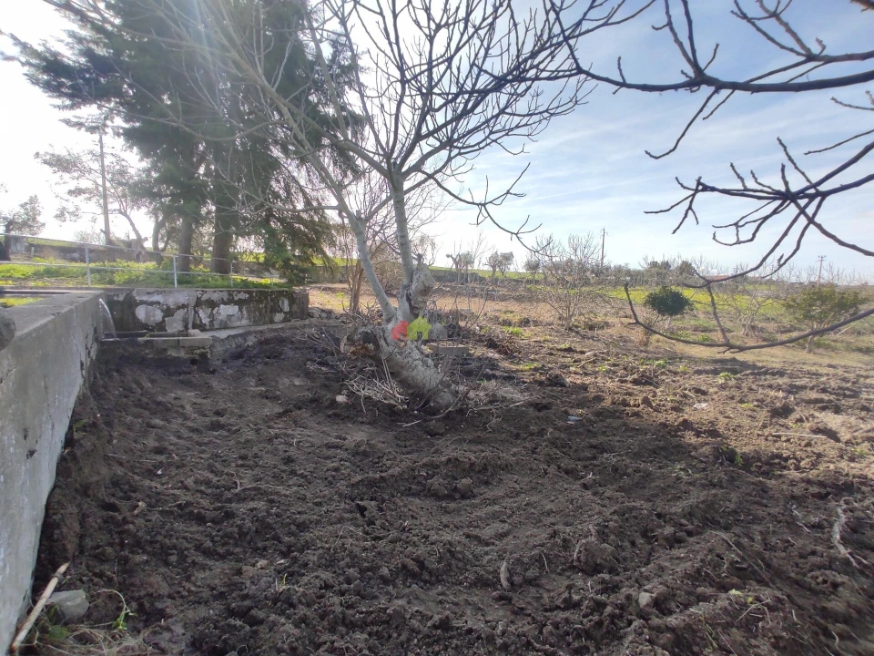 Quinta T12 para Venda em Beja (Santiago Maior e São João Baptista) Foto 52