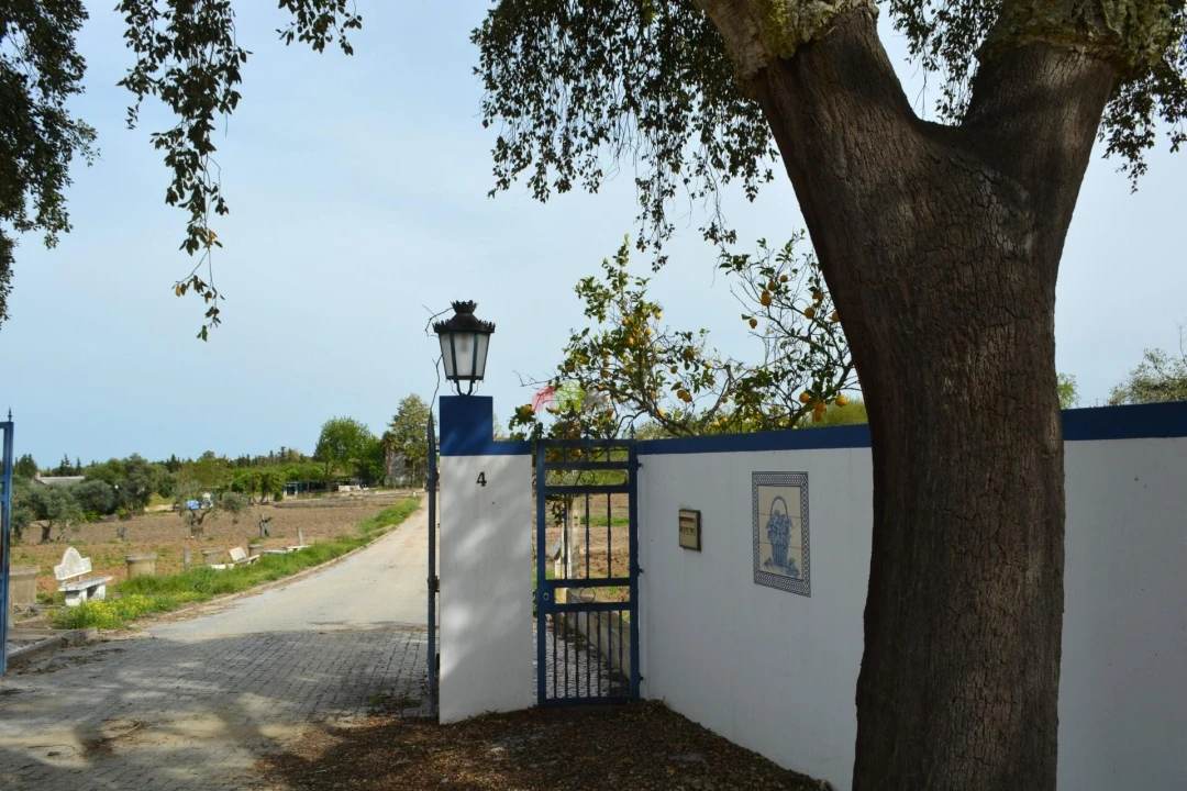 Quinta T12 para Venda em Beja (Santiago Maior e São João Baptista) Foto 1