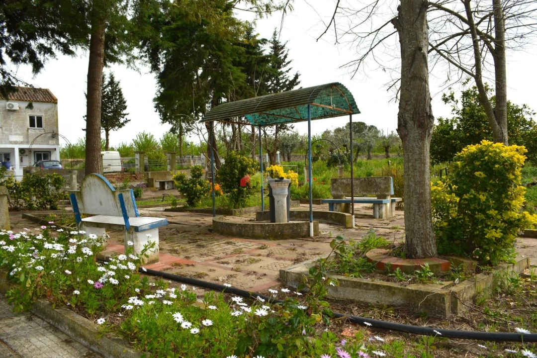 Quinta T12 para Venda em Beja (Santiago Maior e São João Baptista) Foto 19