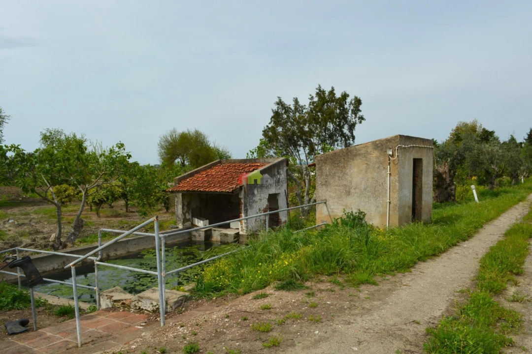 Quinta T12 para Venda em Beja (Santiago Maior e São João Baptista) Foto 23