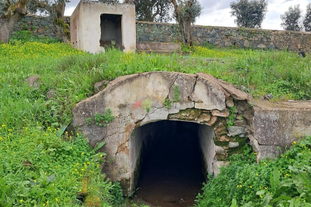 Quinta T12 para Venda em Beja (Santiago Maior e São João Baptista) Foto 48