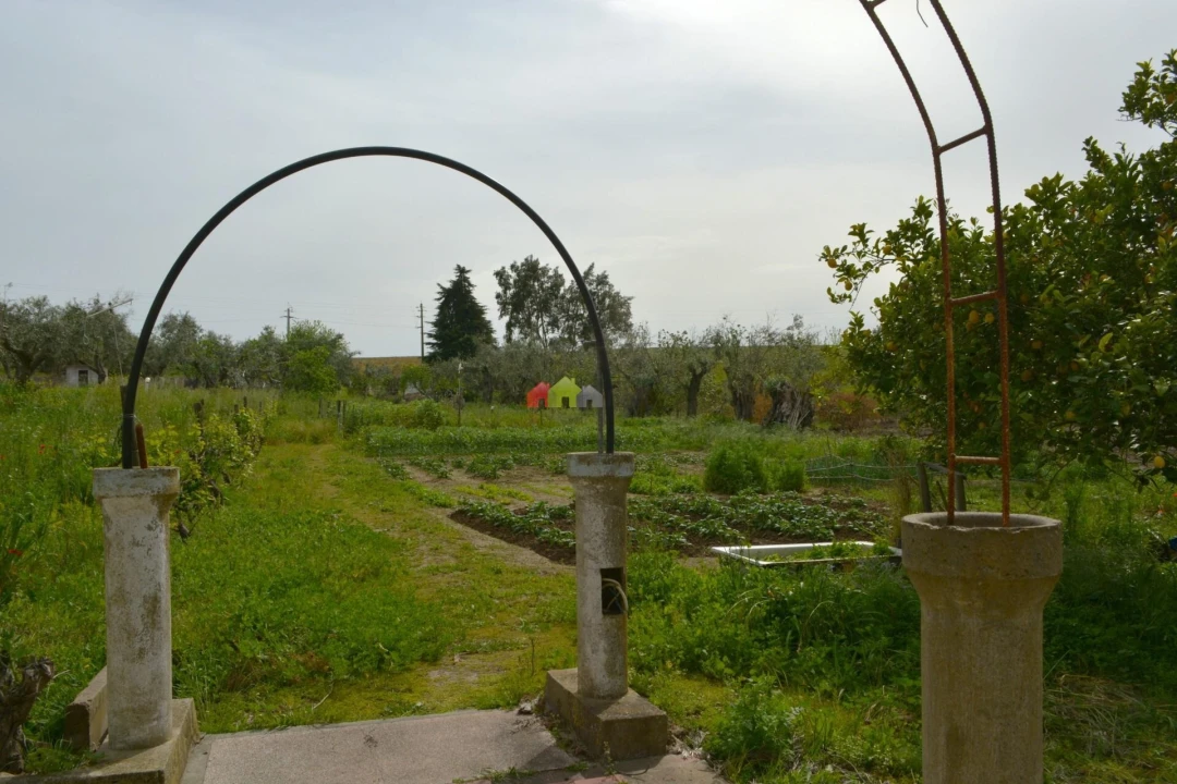 Quinta T12 para Venda em Beja (Santiago Maior e São João Baptista) Foto 35