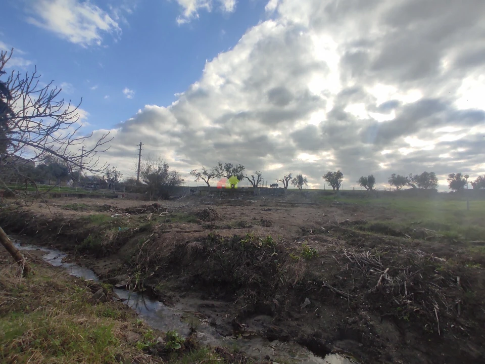 Quinta T12 para Venda em Beja (Santiago Maior e São João Baptista) Foto 50