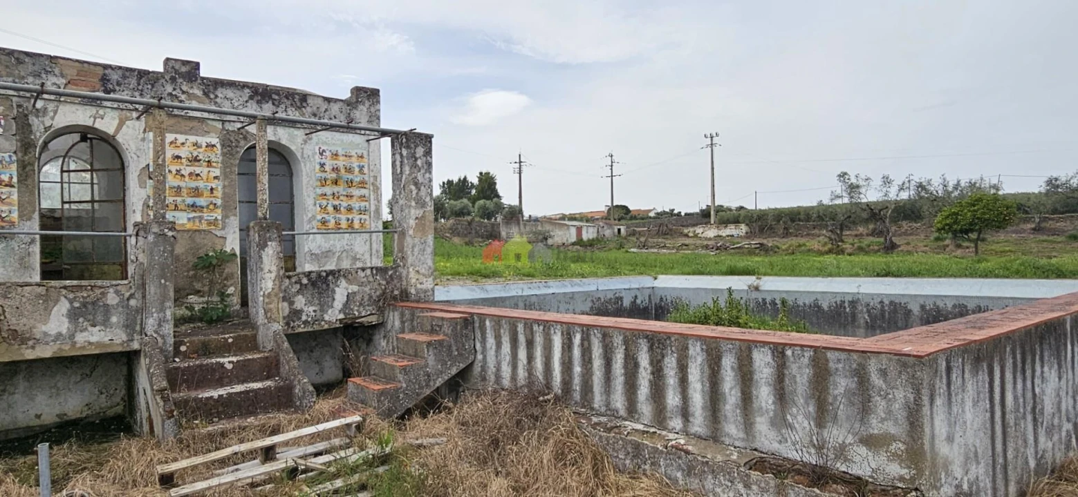 Quinta T12 para Venda em Beja (Santiago Maior e São João Baptista) Foto 43