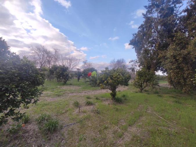 Quinta T12 para Venda em Beja (Santiago Maior e São João Baptista) Foto 51